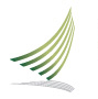 Straightpath International School