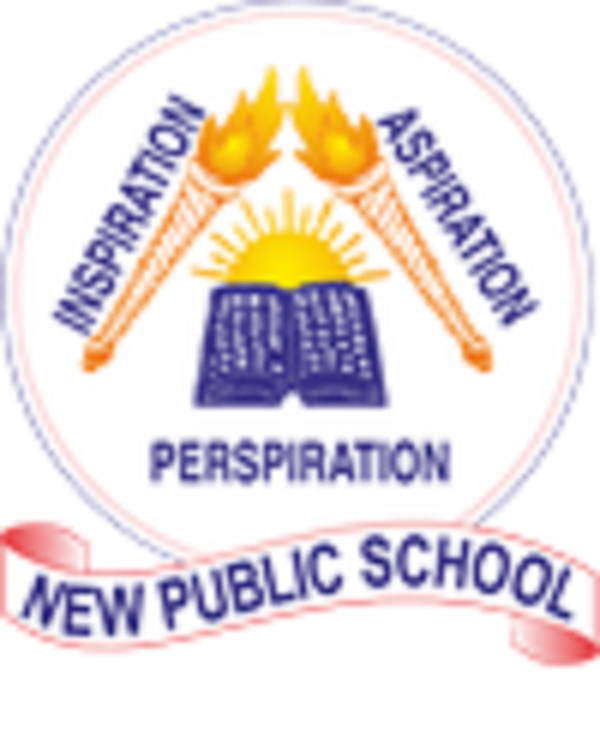 The New Public School